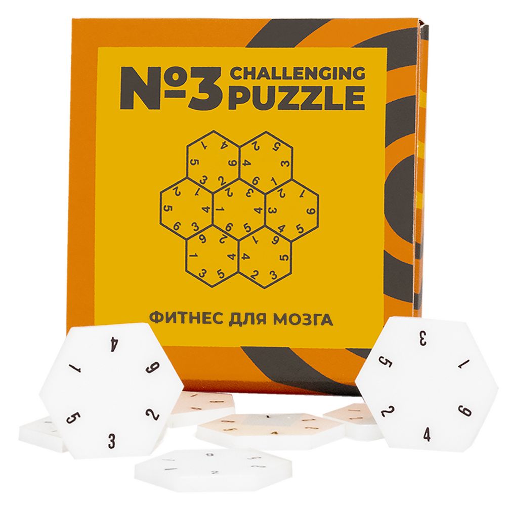  Challenging Puzzle Acrylic,  3 (IQ Puzzle 12107.01)