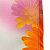  3:     Abella Grey/Pink, 180 x 200  (Spirella 1019149)