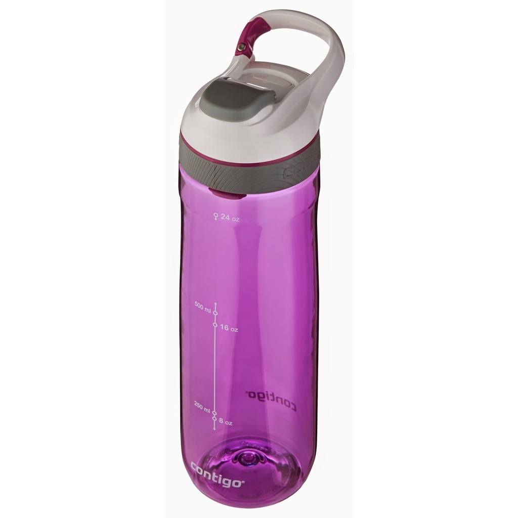 Бутылка для воды Cortland фиолетовый (Contigo CONTIGO0463)