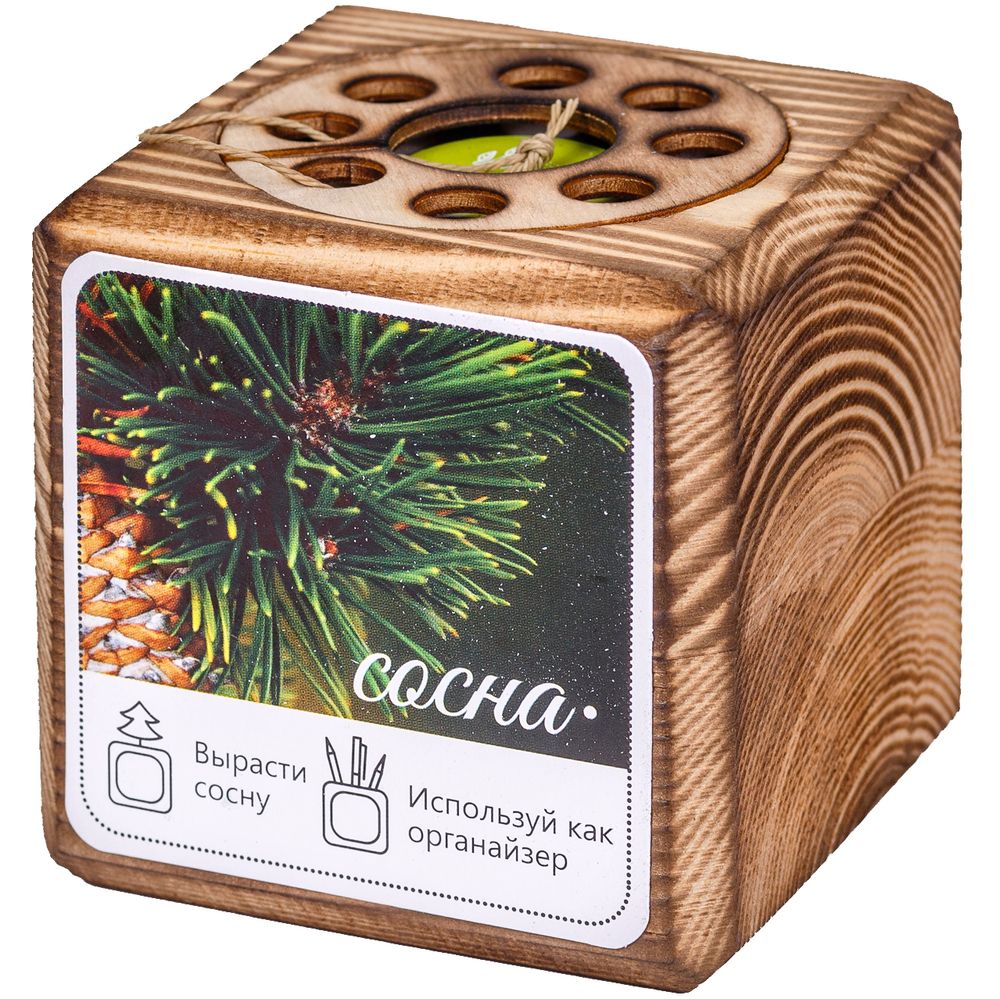 Набор для выращивания с органайзером Экокуб Burn, сосна (Made in Russia 10608.10)
