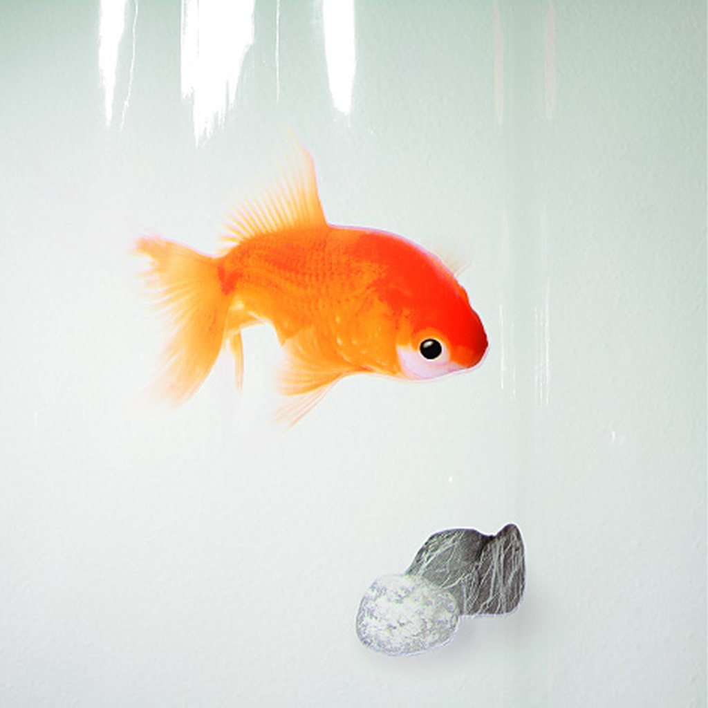 Штора для ванной Goldfish (Spirella 1000097)