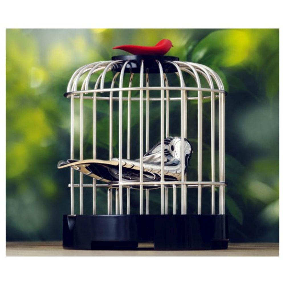 Музыкальный заварочный набор Певчая птичка (Alessi Z51002)