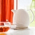 Фото 2: Термос-чайник заварочный Ellipse белый, 1.0 л (Emsa 503692)