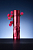 Фото 8: Термос Gems Red Rubine, красный рубин (LikeTo 7869.54)