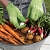 Фото 3: Перчатки-скрабы Skruba для чистки овощей (Fabrikators AO8VE)